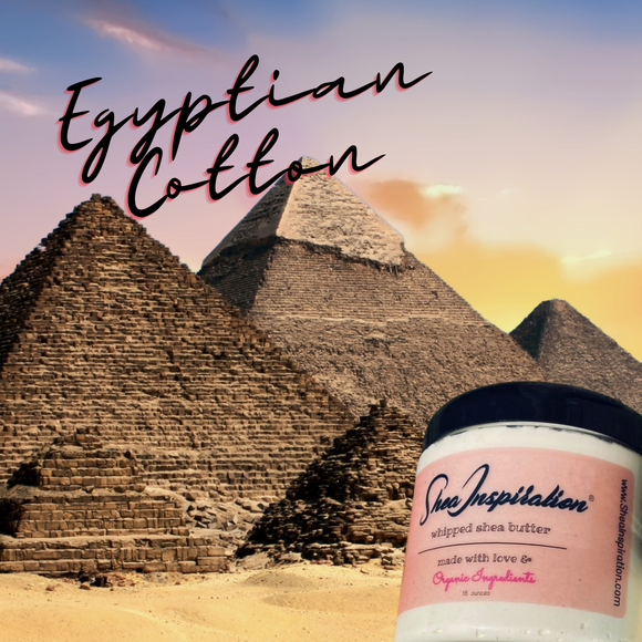 Egyptian Cotton Whipped Shea Butter