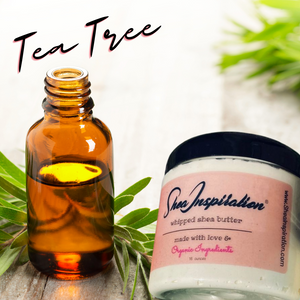 Tea Tree Whipped Shea Butter